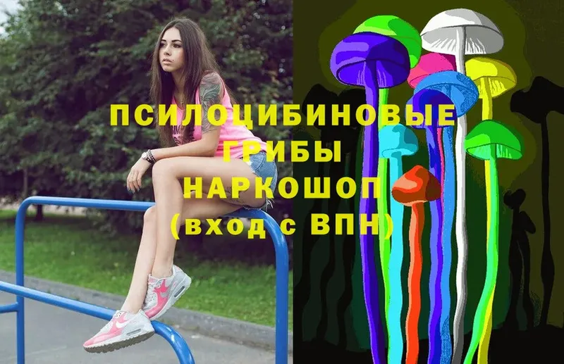 Псилоцибиновые грибы Magic Shrooms  Кораблино 